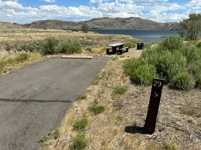 B29