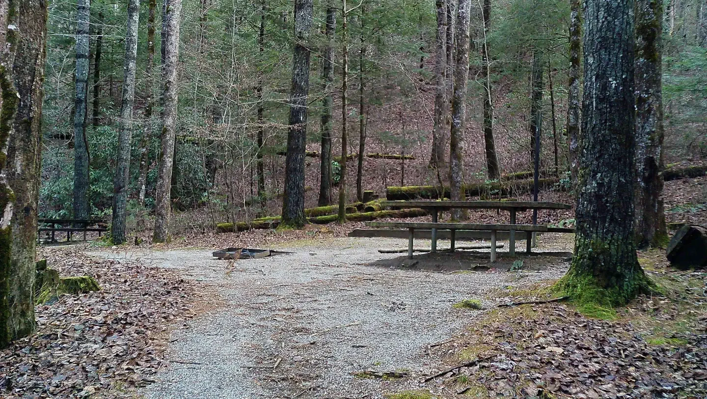 Tate Branch Campground (Clayton, GA)