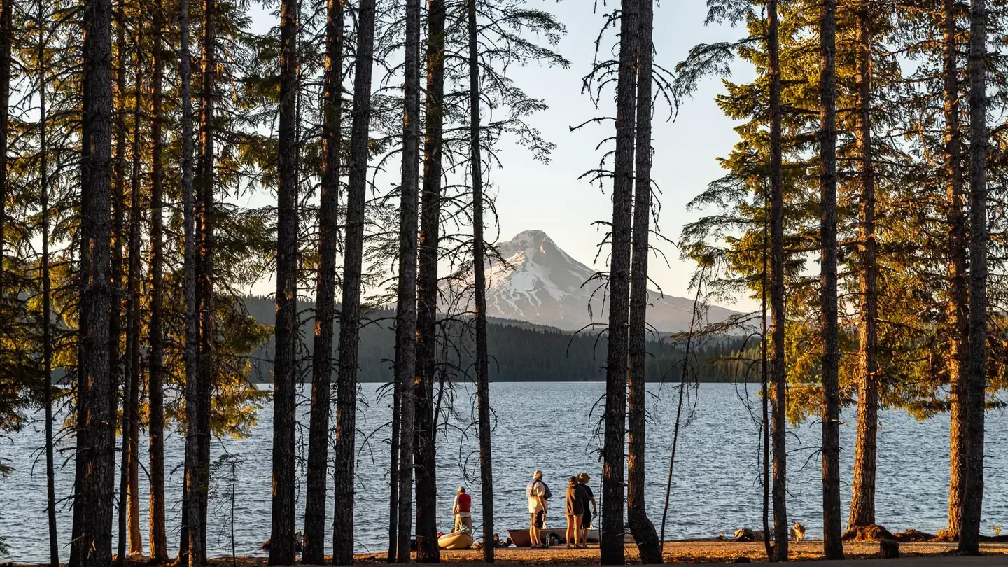 Stone Creek Campground (Timothy Lake, OR)