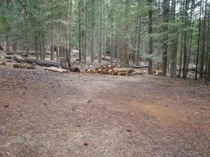 Site: 51