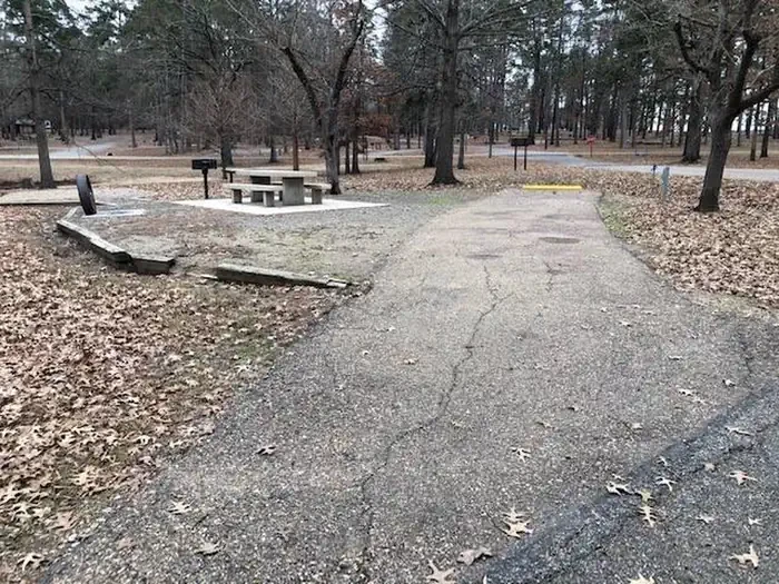 D28