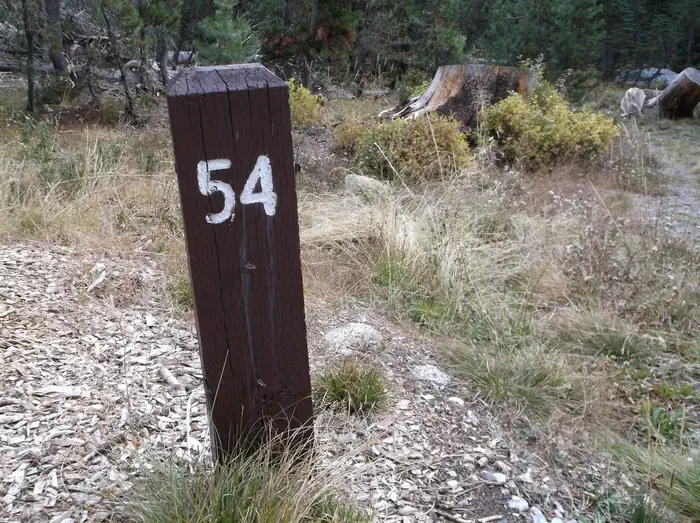054