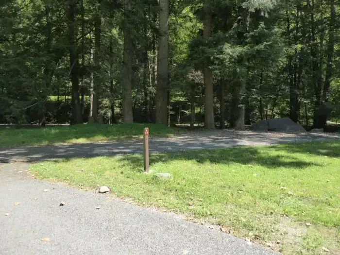 E11