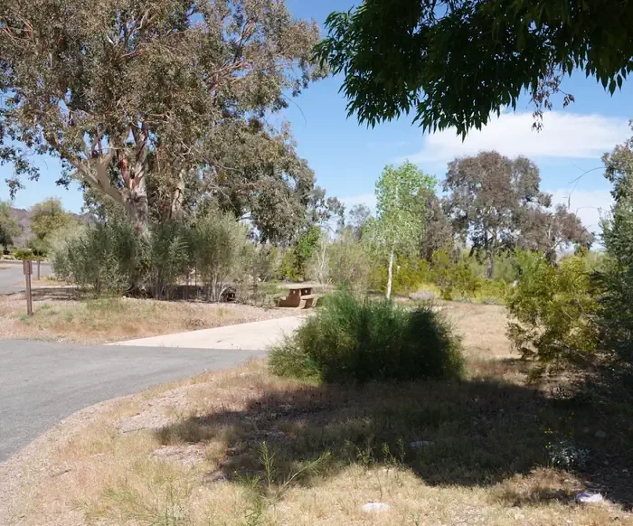 Site 8