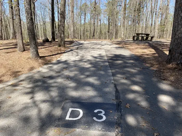 D03