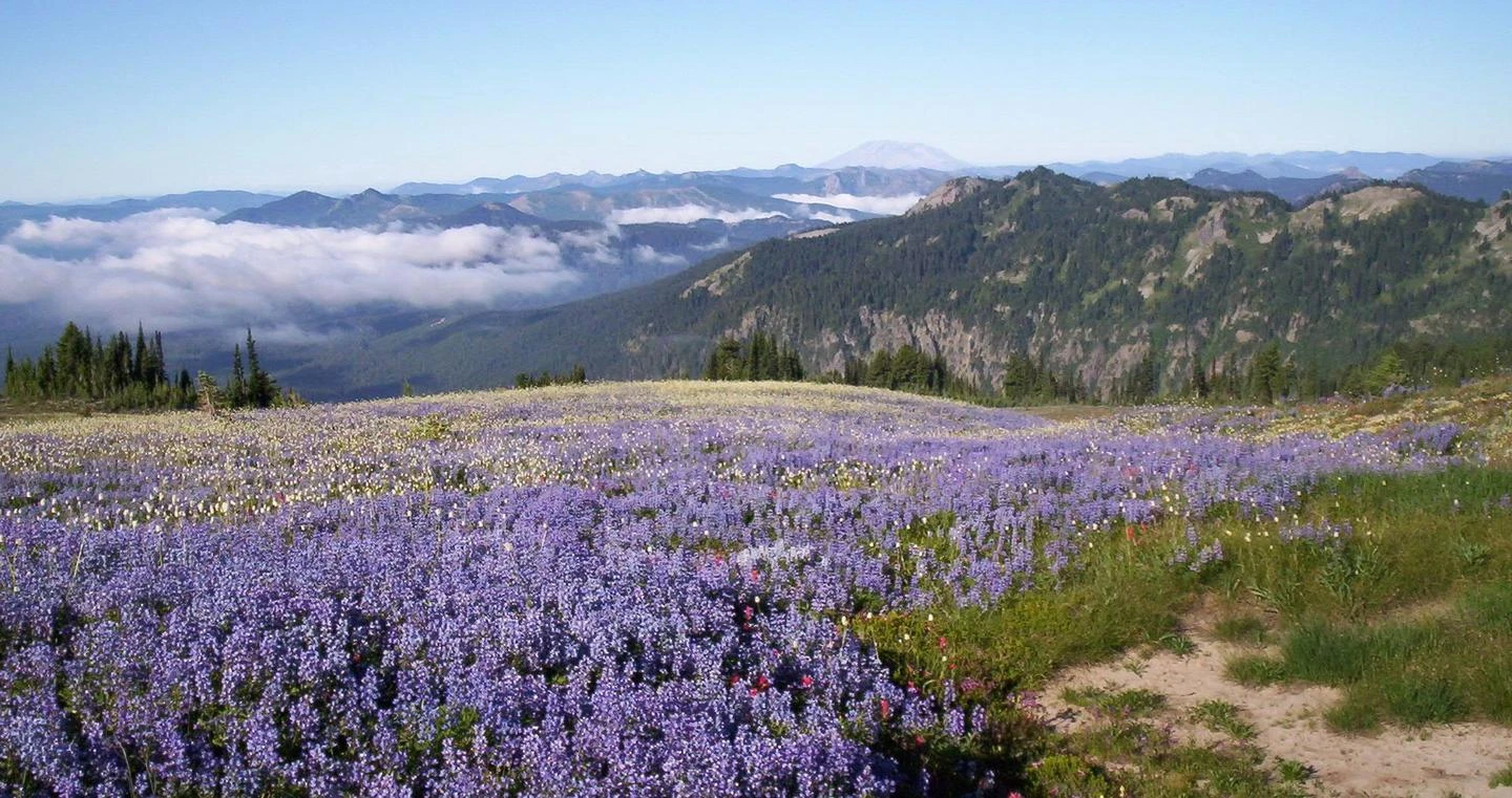 Northwest Forest Pass - Gifford Pinchot NF