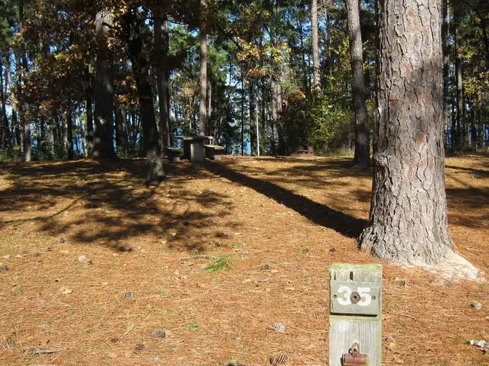 35