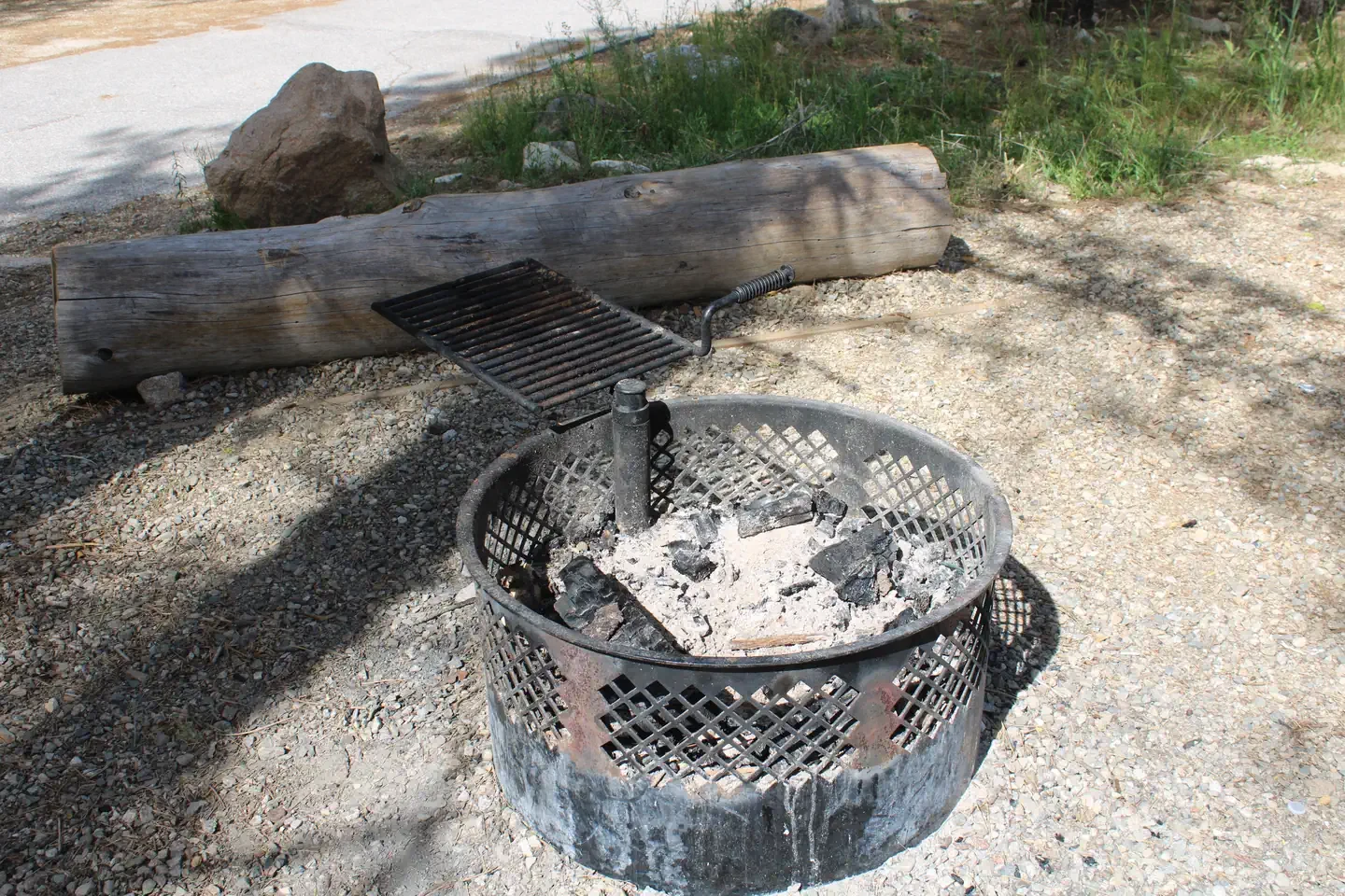 007