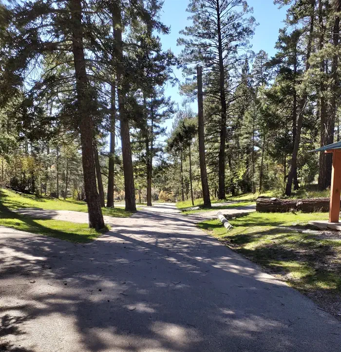 Upper Fir Group Area