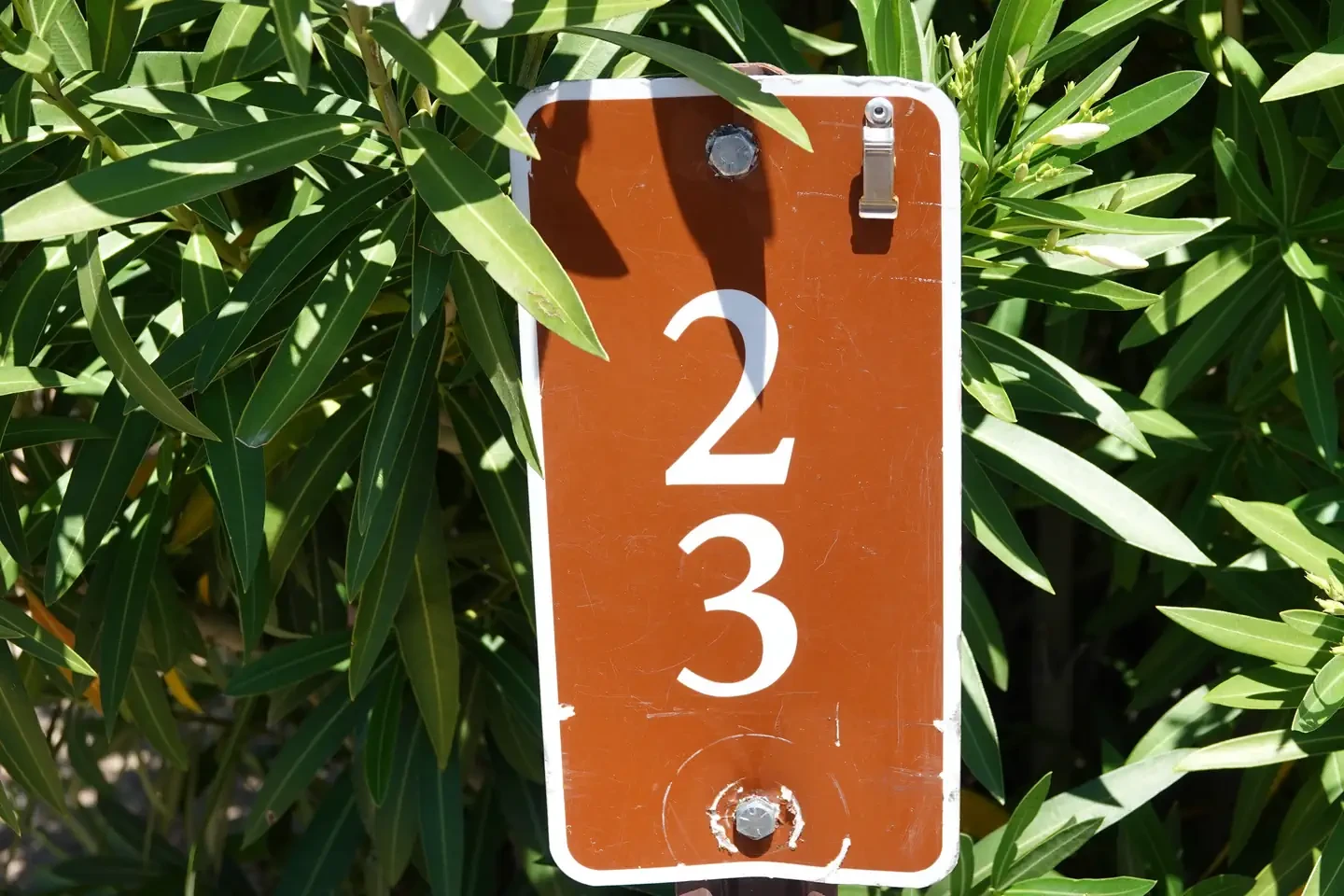 Site 23