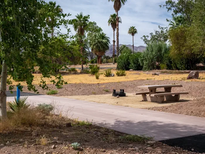 Site 135