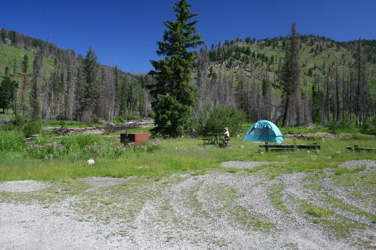 Slough Creek site #5