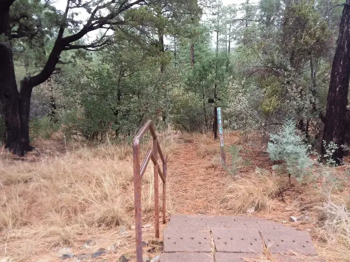 Lynx Campground