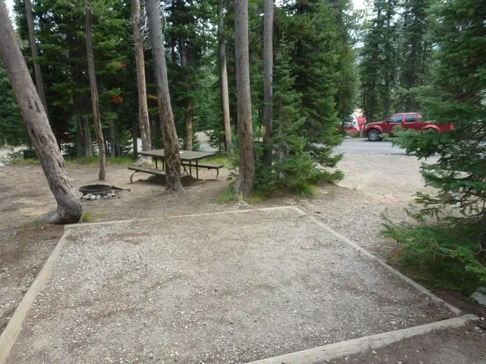Lewis Lake site #51