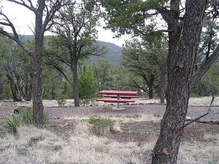 Pinon Campground (Quemado Lake)