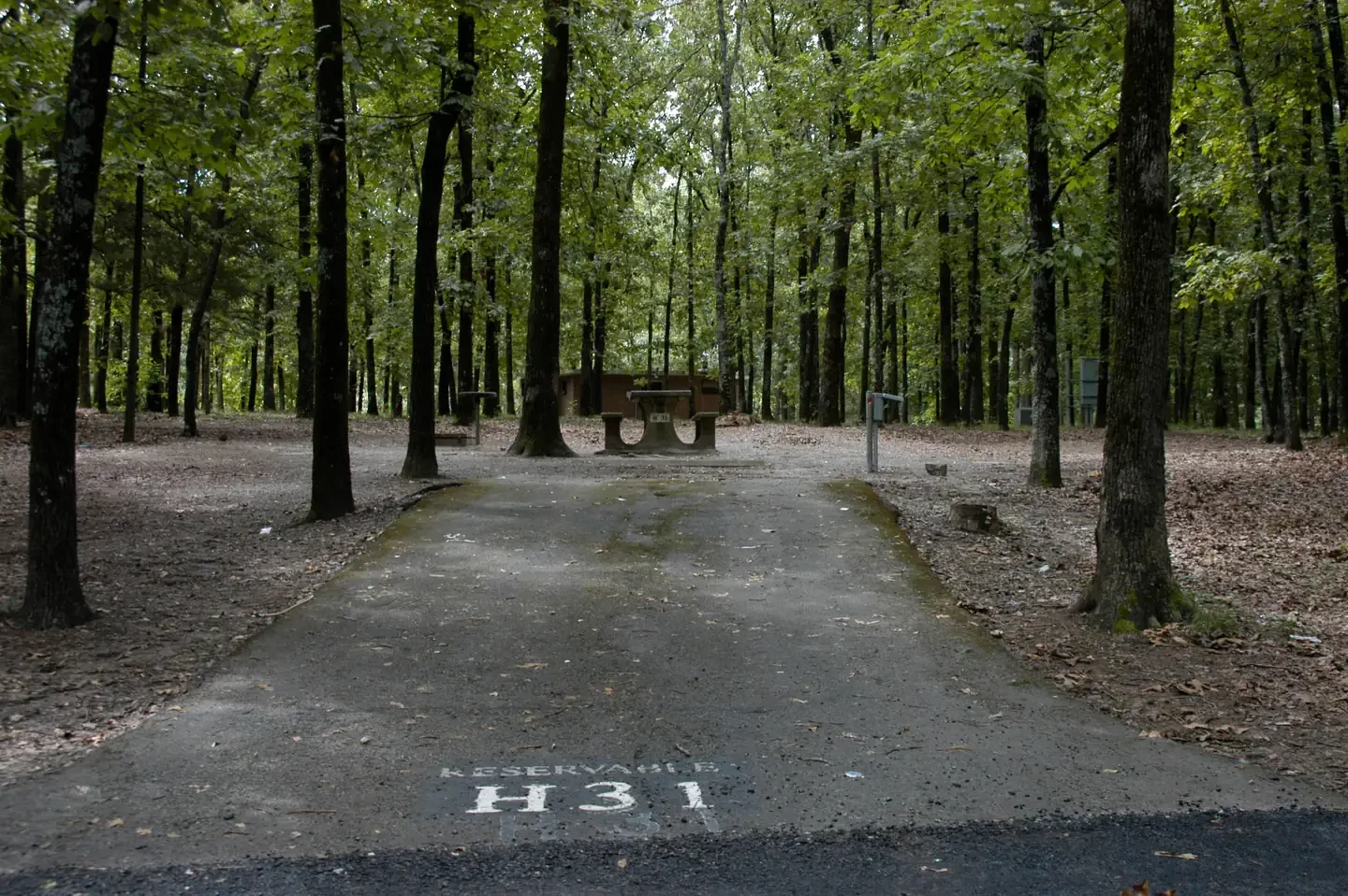 H31