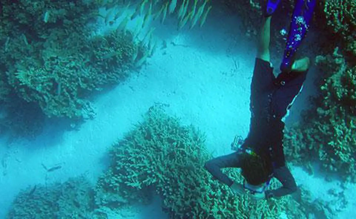 Papahānaumokuākea Marine National Monument