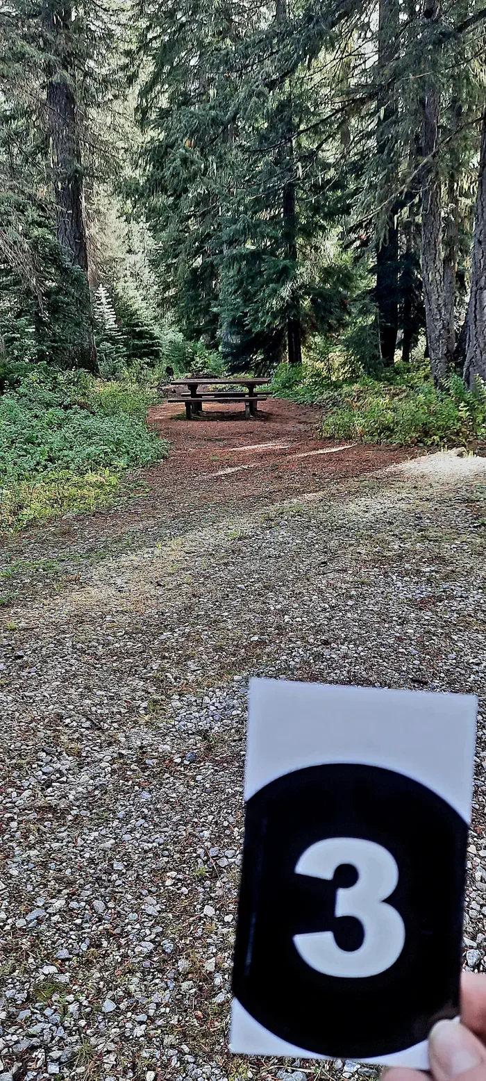 Phelps Creek Campground