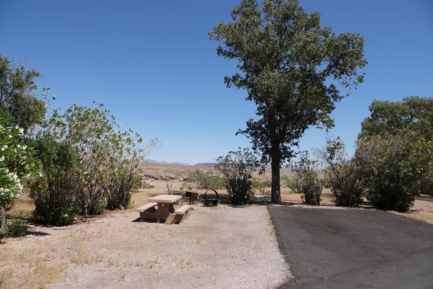 Site 52