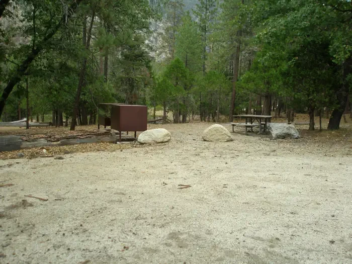 G11