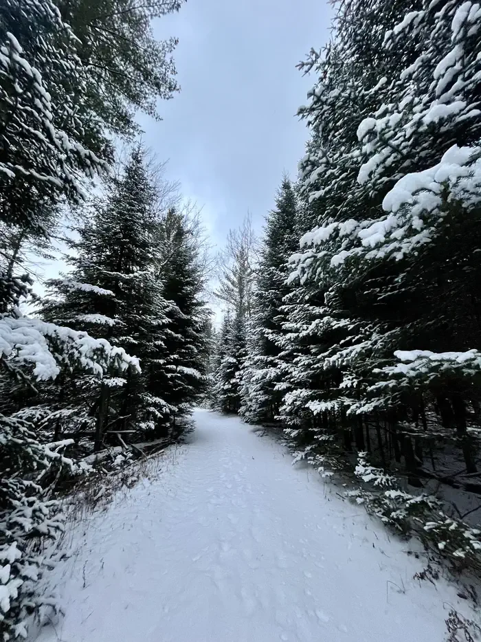 Wakeley Lake Campground