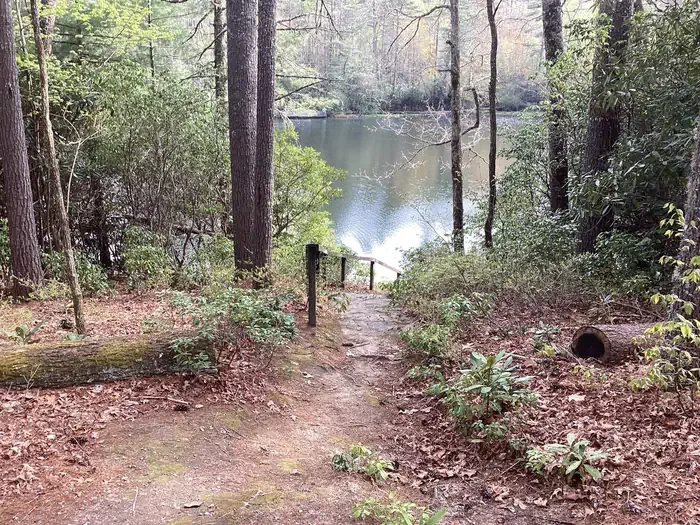 Small Shelter