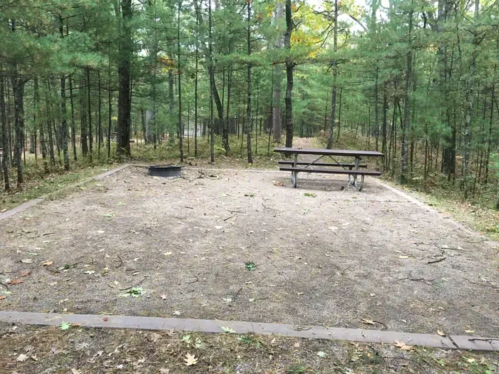 431