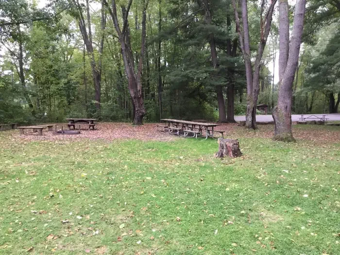 Group Site
