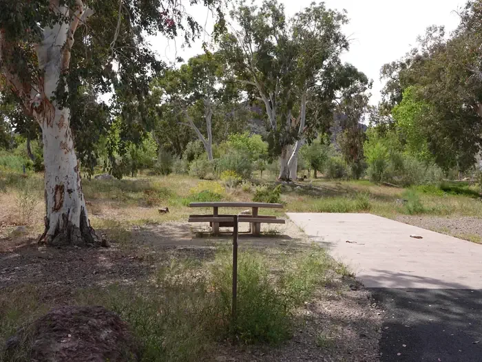 Site 69