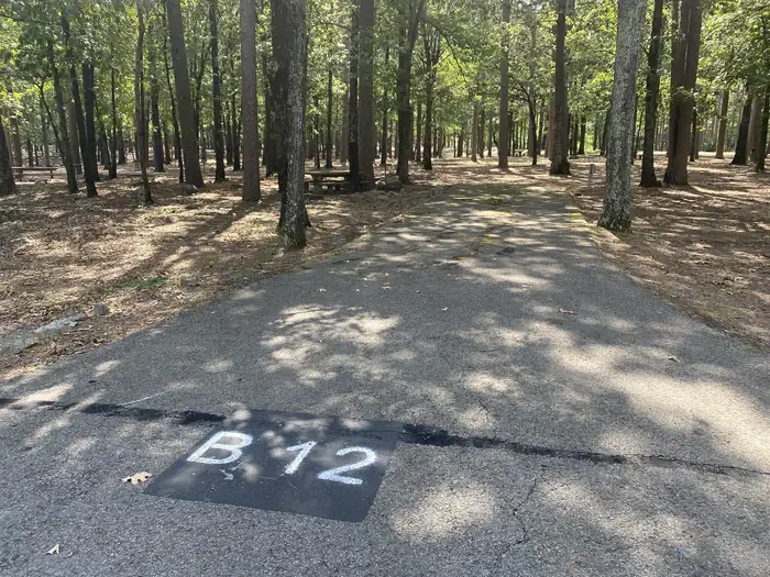 B12