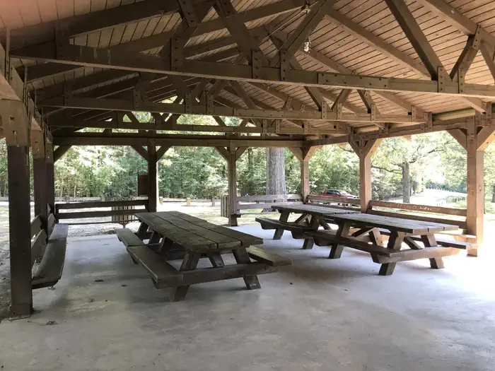 L1-Large Picnic Shelter