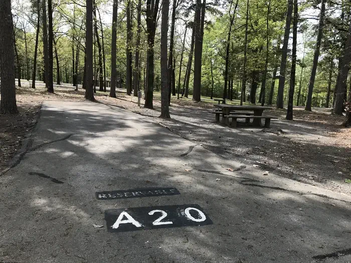 A20