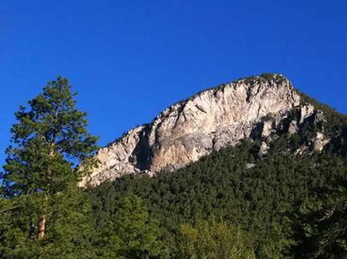 Fletcher View