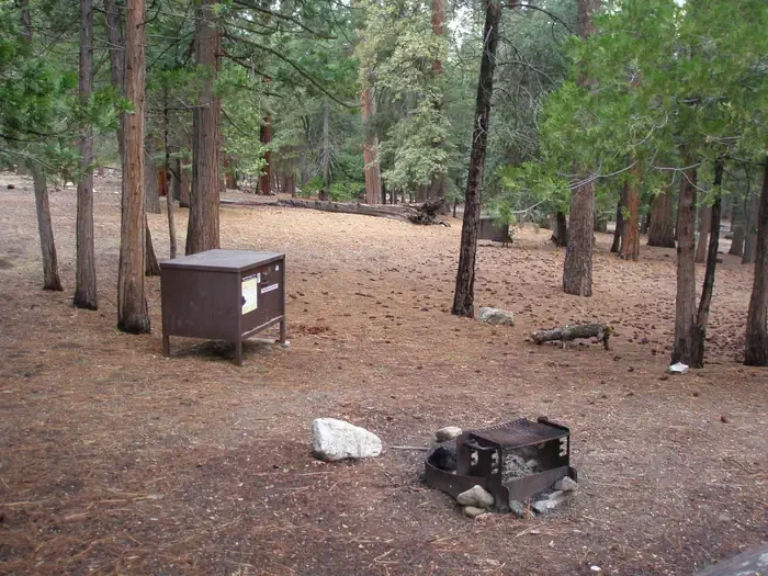 Site: 48