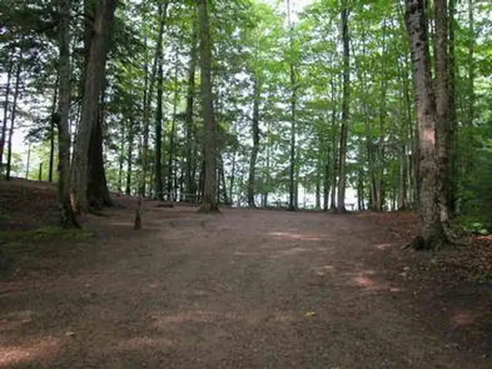 Pete’s Lake Campground
