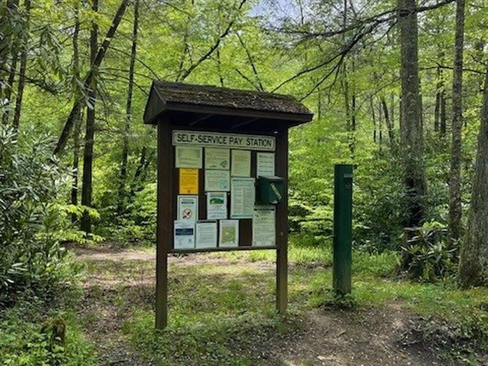 Cranberry River Campsites