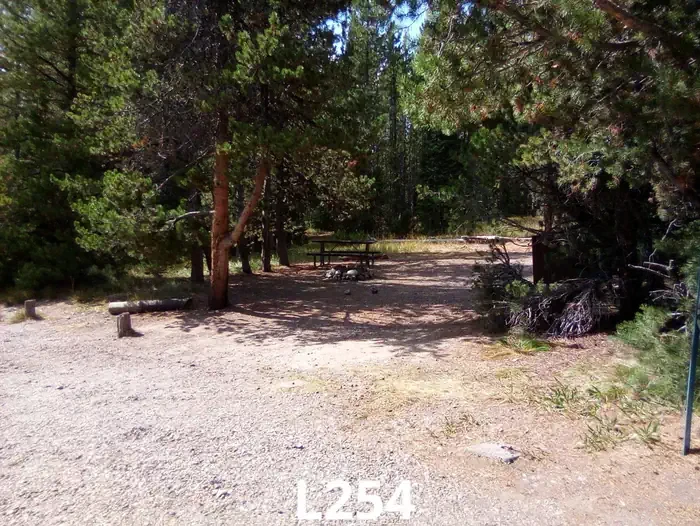 254