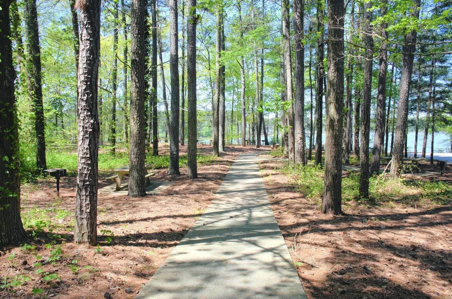 Galt'S Ferry Day Use Area (ga)