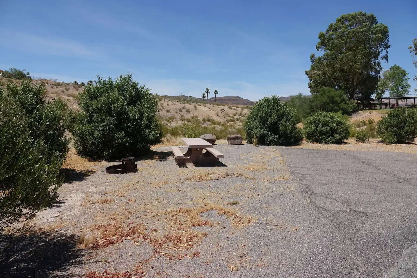 Site 3