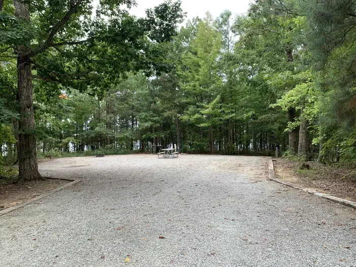 221