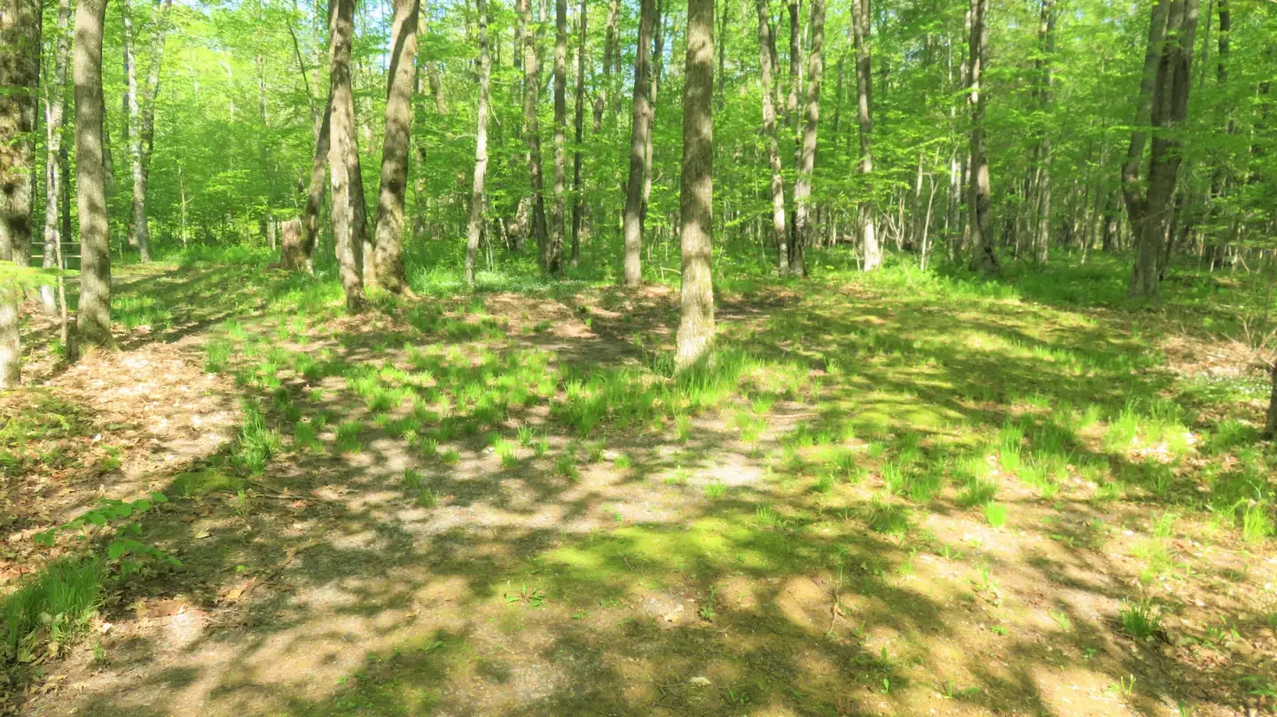S50