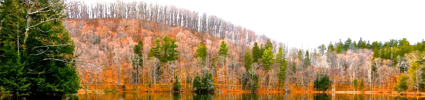 Marsh - Billings - Rockefeller National Historical Park