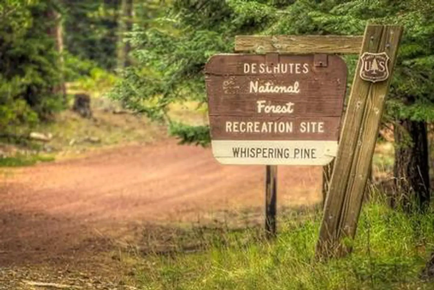 Whispering Pines Horse Camp