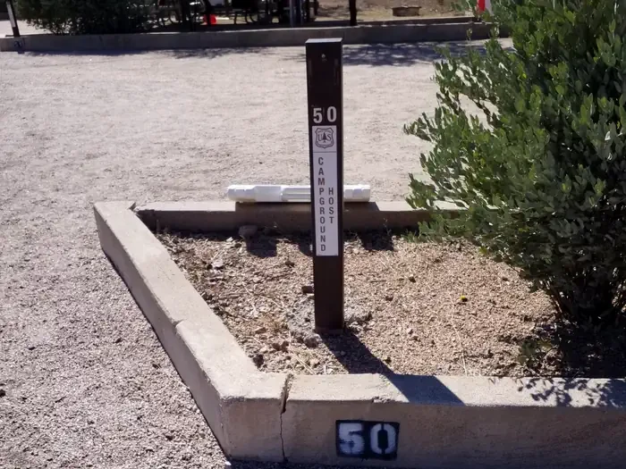 50