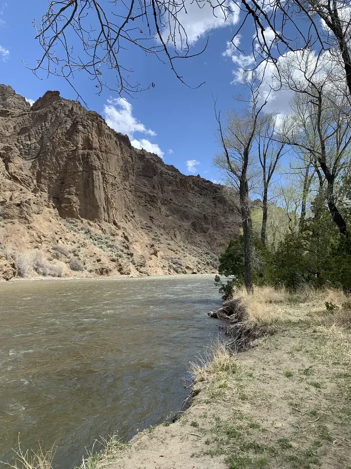 Wapiti Campground