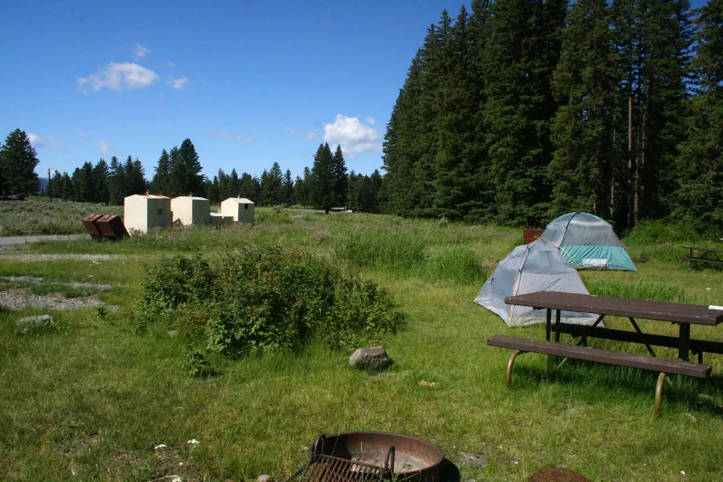 Slough Creek site #7