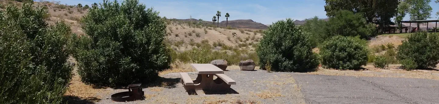 Site 3