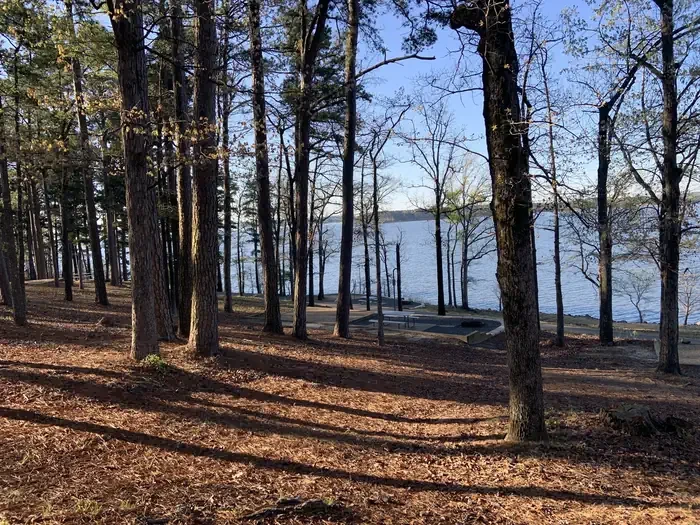Johnson Creek Camp