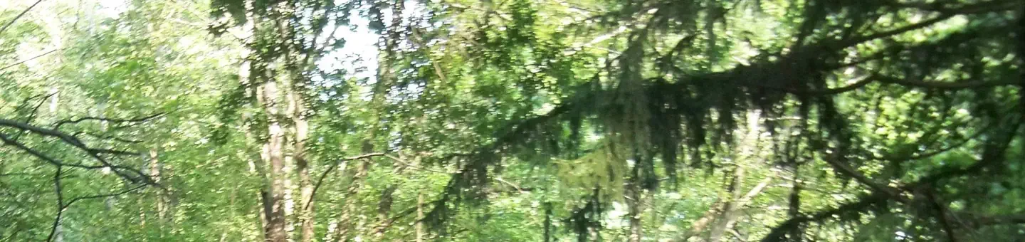 H34