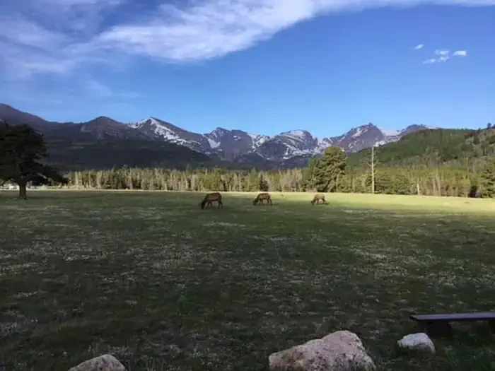 Rocky Mountain National Park Glacier Basin Campground